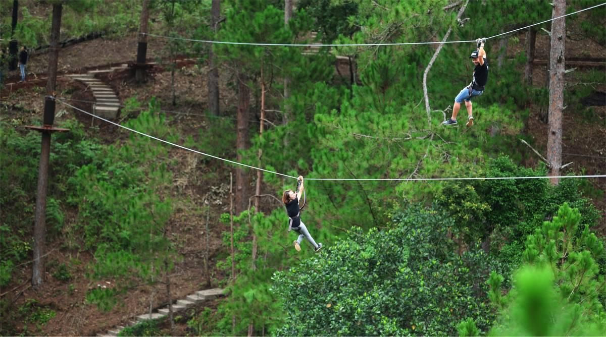 Cùng Traveloka khám phá du lịch Đà Lạt không thể bỏ qua