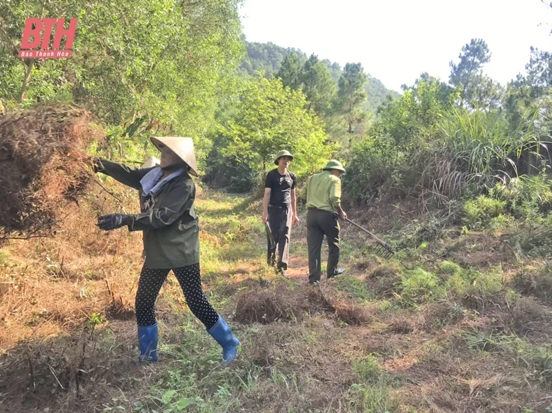 Chủ động bảo vệ và phòng cháy, chữa cháy rừng ven biển mùa du lịch