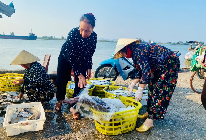 Ngư dân xứ Thanh “bám biển” để cung ứng hải sản cho thị trường dịp nghỉ lễ
