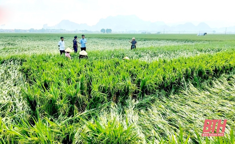 Thanh Hóa cảnh báo lốc, sét, mưa đá và gió giật mạnh