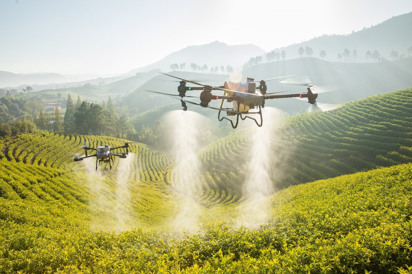 Thị trường máy bay nông nghiệp sôi động khi AgriDrone công bố giá bán T50 tại Việt Nam