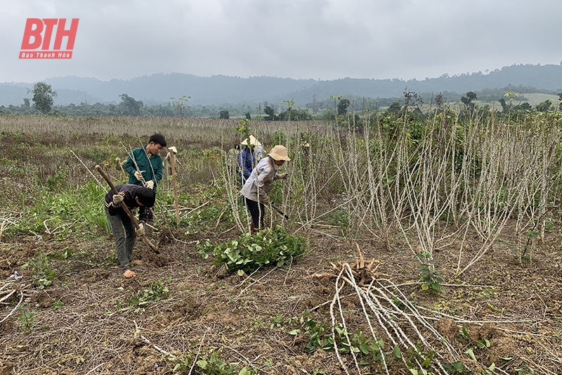 Liên kết trong nhà cái m88 nông nghiệp ở Ngọc Lặc