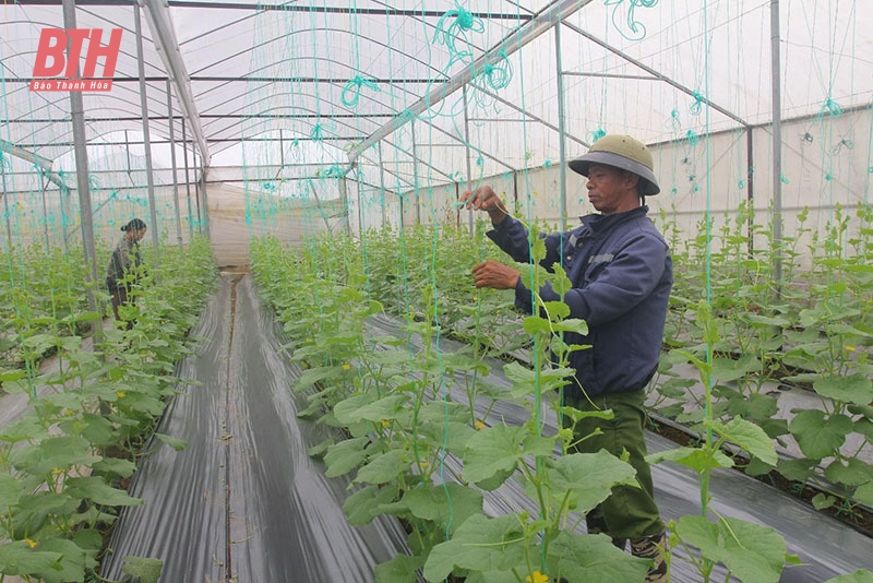 Nga Yên dồn lực về đích xã link vào m88 mới nhất nâng cao