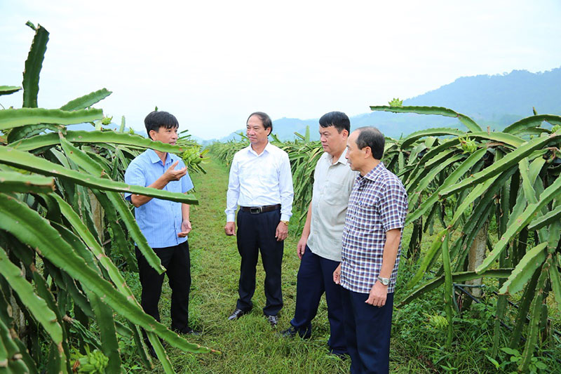 Đưa công tác kiểm tra, giám sát đi vào thực chất