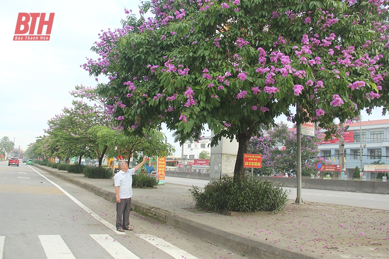 Sức lan tỏa từ phong trào “Cựu chiến binh gương mẫu” ở Quảng Xương