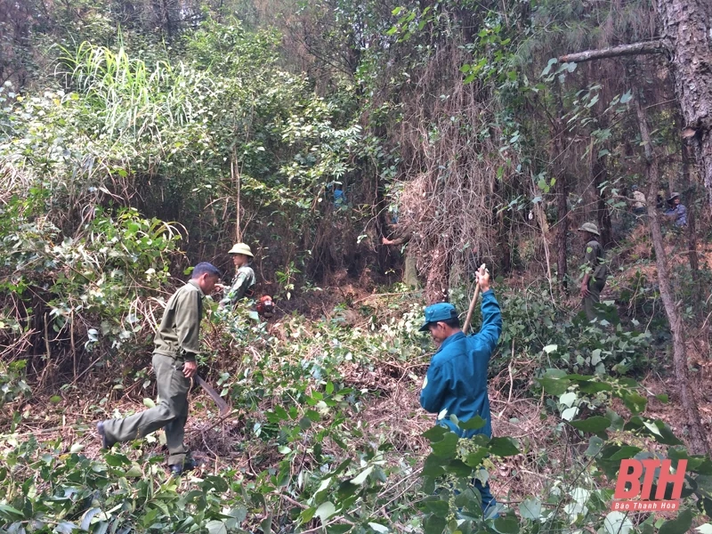 Thị xã Nghi Sơn: Tăng cường tuyên truyền về bảo vệ và phát triển rừng cho học sinh, sinh viên