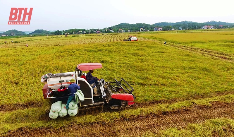 Hà Trung dồn lực “cán đích” huyện nông thôn mới