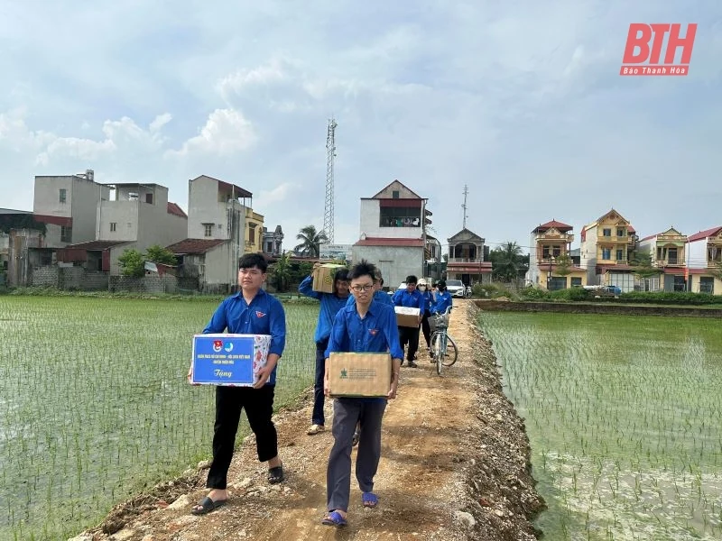 Đội thanh niên xung kích Thiệu Hóa về đích sớm việc hỗ trợ xây dựng đường dây 500kV mạch 3