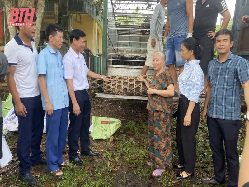 Bàn giao vật tư, con giống hỗ trợ cho các hộ nghèo huyện Thường Xuân