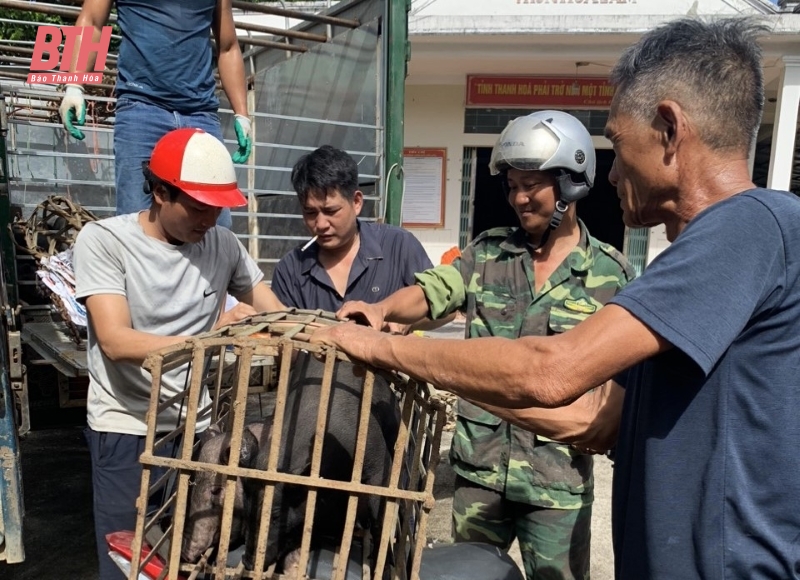 Bàn giao vật tư, con giống hỗ trợ cho các hộ nghèo huyện Thường Xuân