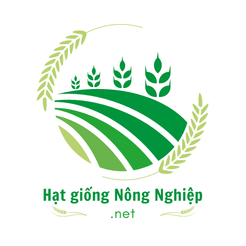 HatGiongNongNghiep.Net cung cấp hạt giống hoa toàn quốc