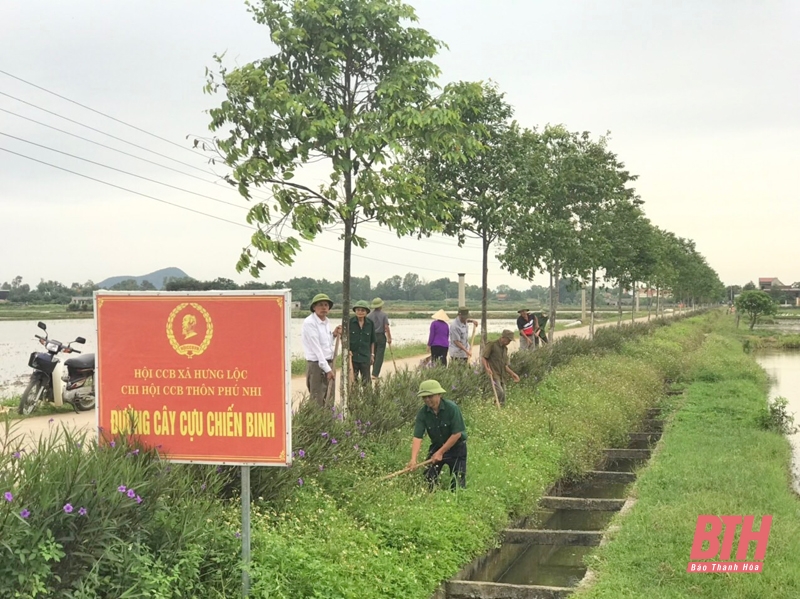 Phong trào thi đua “Cựu chiến binh gương mẫu” ở huyện Hậu Lộc