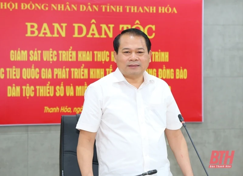 Giám sát Chương trình mục tiêu Quốc gia phát triển kinh tế-xã hội vùng đồng bào DTTS và miền núi giai đoạn 2021-2023