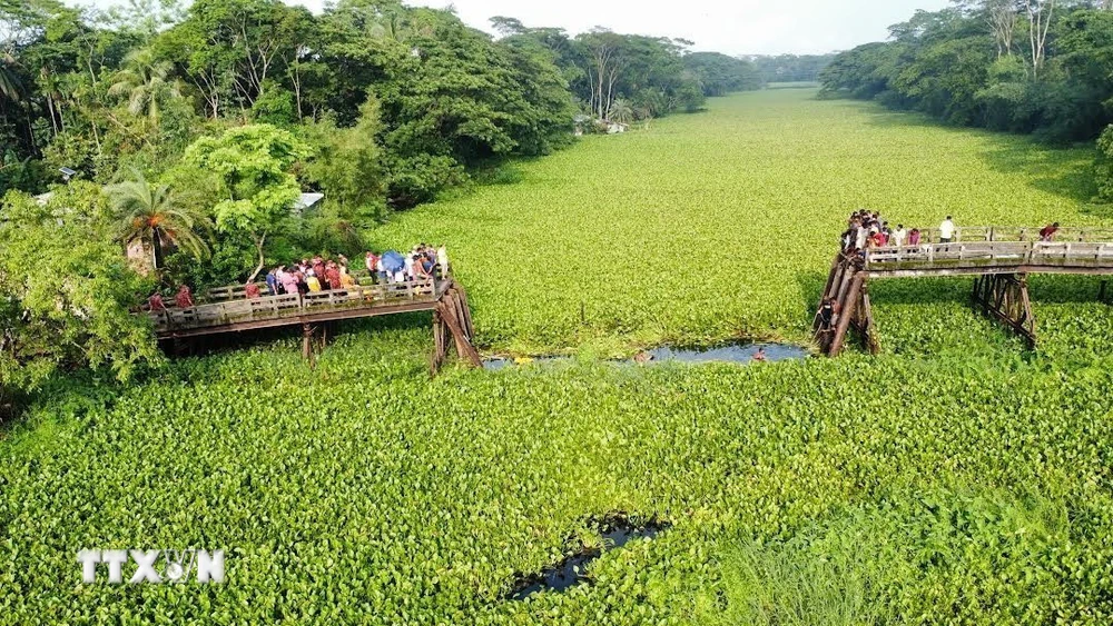 Sập cầu tại Bangladesh, khiến ít nhất gần 20 người thương vong