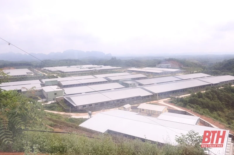 Kiểm tra tình hình triển khai các dự án của Tập đoàn Xuân Thiện và các dự án tại KCN Ngọc Lặc