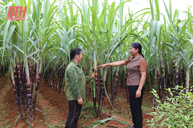 Thạch Thành điều động, luân chuyển cán bộ chủ chốt không phải người địa phương