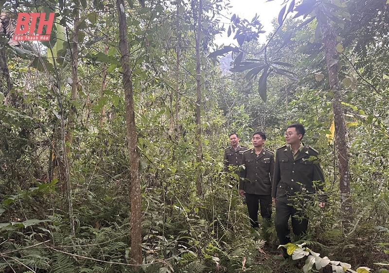 Giữ rừng ở vùng biên Quan Sơn