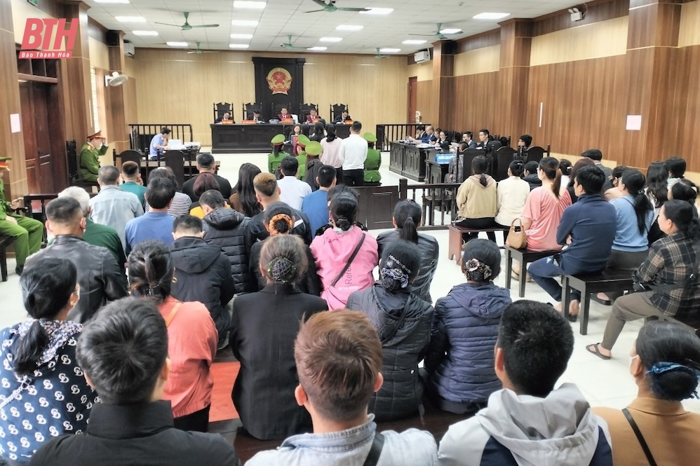 Giữ sạch vùng xanh” nơi biên viễn (Kỳ 3): Số phận của những “đại ca”, “ông trùm”