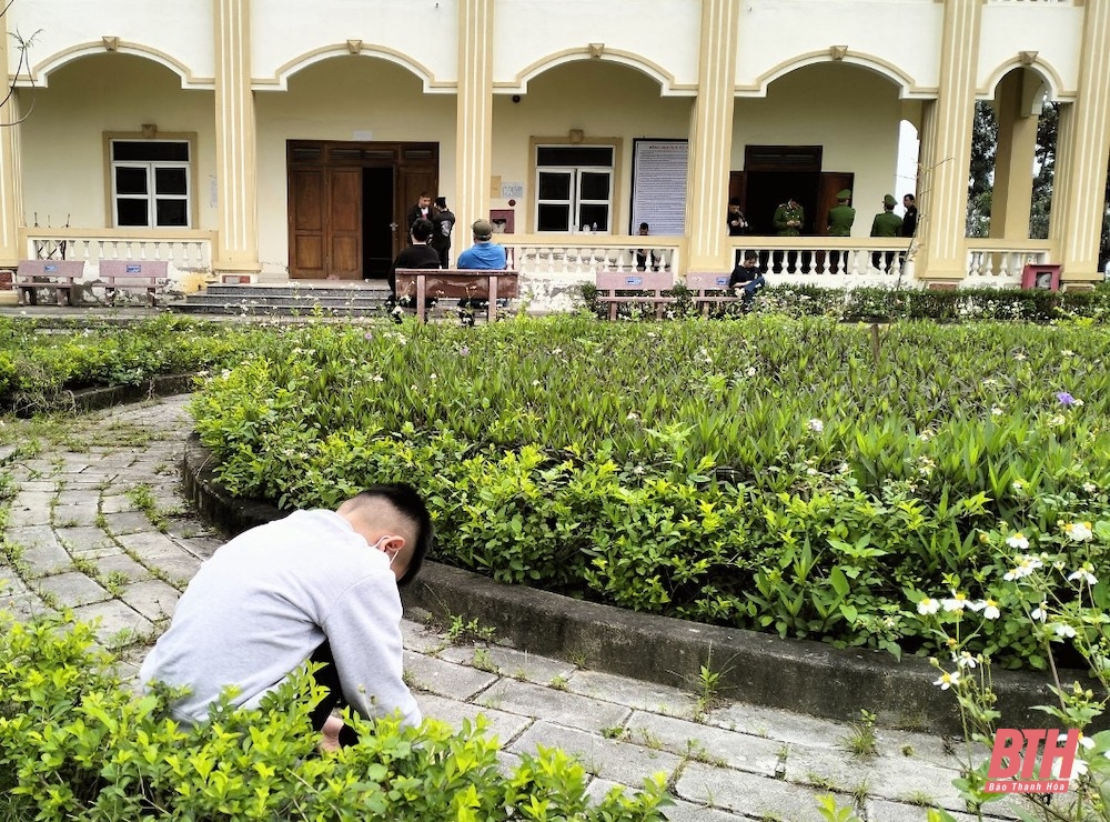 Giữ sạch vùng xanh” nơi biên viễn (Kỳ 3): Số phận của những “đại ca”, “ông trùm”