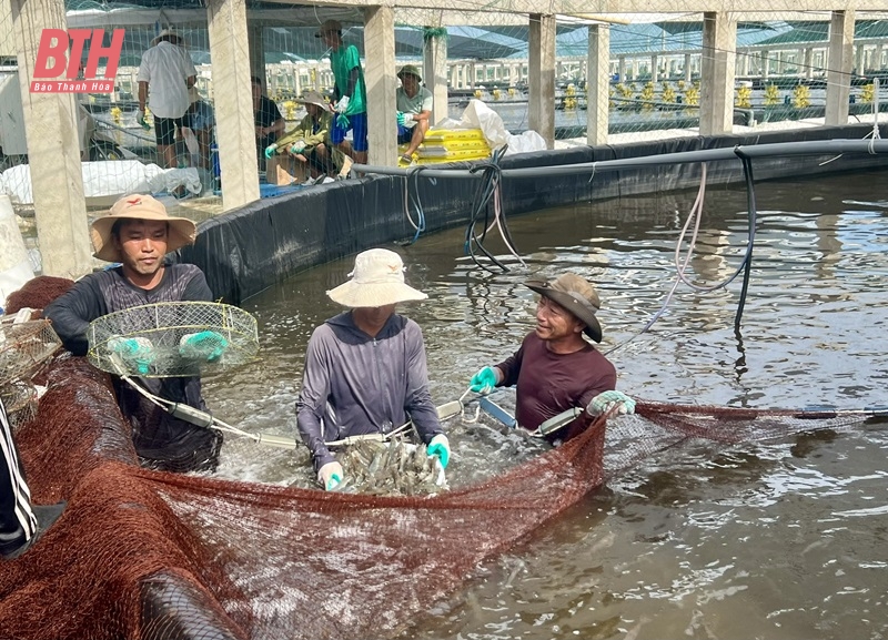 Ứng dụng khoa học và công nghệ: Khoảng cách từ lý thuyết đến thực tiễn (Bài cuối) - Nỗ lực tháo gỡ các rào cản