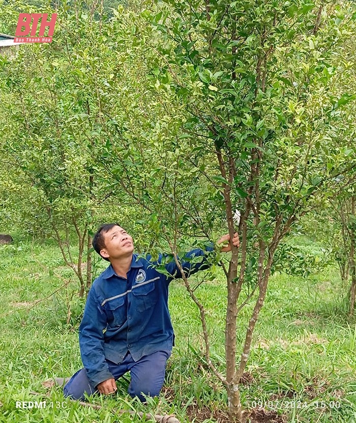 Chàng trai dân tộc Dao dám nghĩ, dám làm