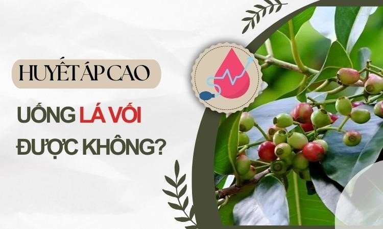 Người bị dang nhap m88 uống lá vối được không - Góc nhìn khoa học và thực tế