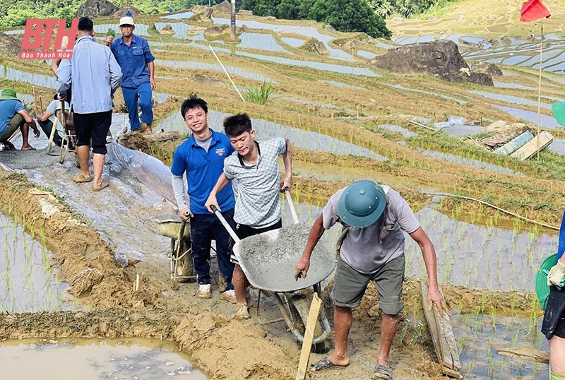 Tuổi trẻ m88 link mới nhất Đại học Hồng Đức xung kích, nghĩa tình, trách nhiệm