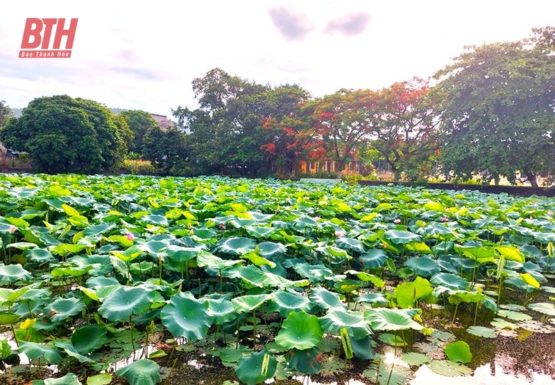 Nền tảng để xây dựng và phát triển tỉnh Thanh Hóa giàu đẹp, văn minh