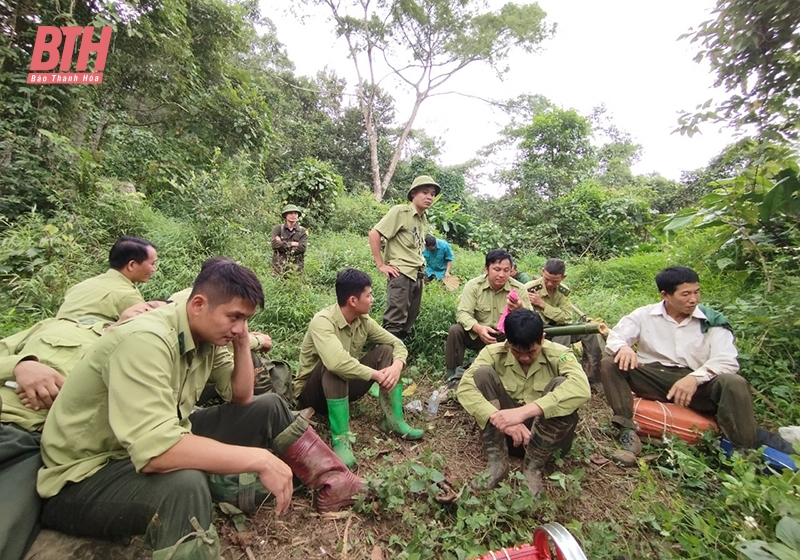 Ban Quản lý Khu Bảo tồn thiên nhiên Pù Luông tăng cường quản lý, bảo vệ rừng