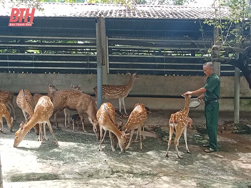 Cựu chiến binh Hà Văn Thuyên m88 the thao