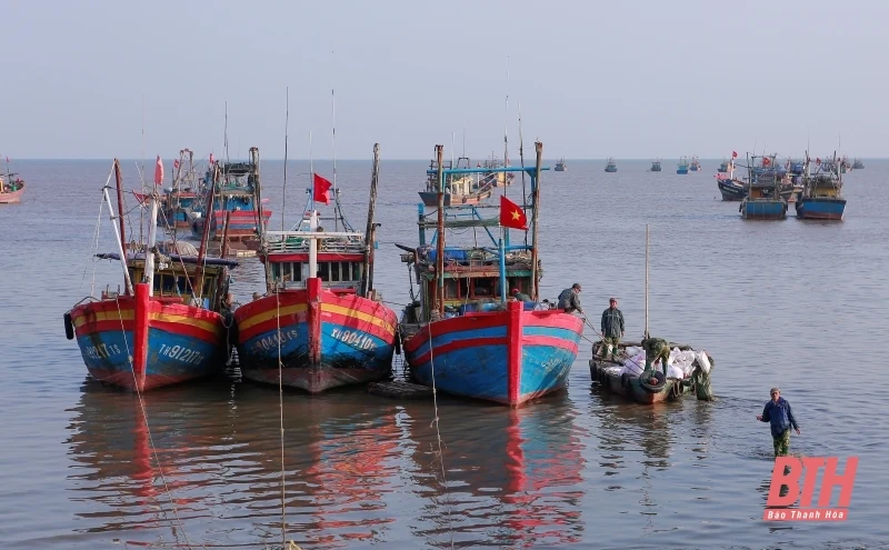 Phát huy tiềm năng, lợi thế, huy động hiệu quả các nguồn lực, xây dựng Thanh Hóa trở thành tỉnh mạnh về kinh tế biển của cả nước