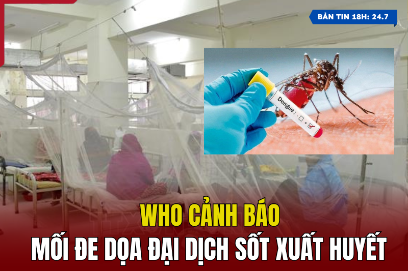 [Bản tin 18h] WHO cảnh báo mối đe dọa đại dịch sốt xuất huyết