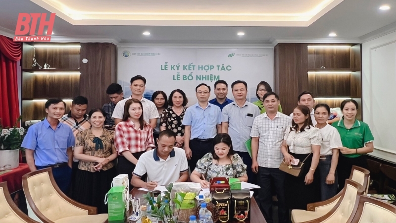 Xúc tiến, quảng bá, giới thiệu sản phẩm OCOP Thanh Hóa tại TP Hà Nội
