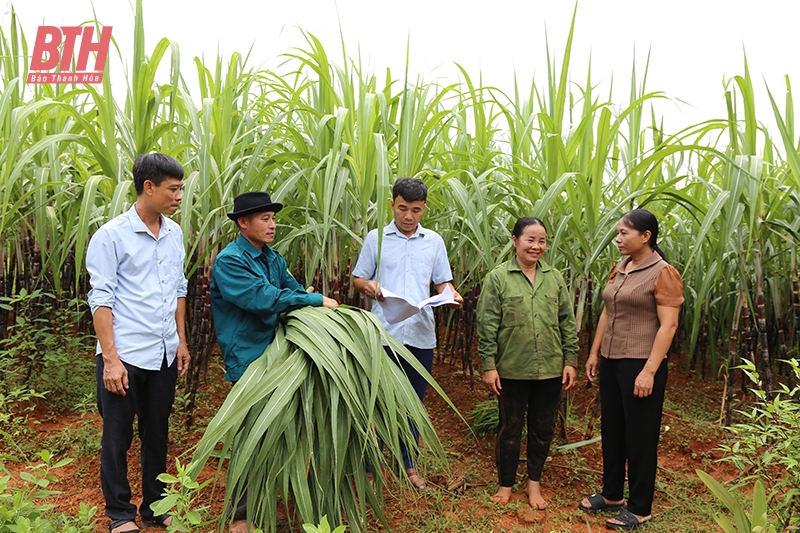 Giải pháp nâng cao chất lượng cán bộ cơ sở