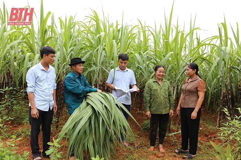 Giải pháp nâng cao chất lượng cán bộ cơ sở