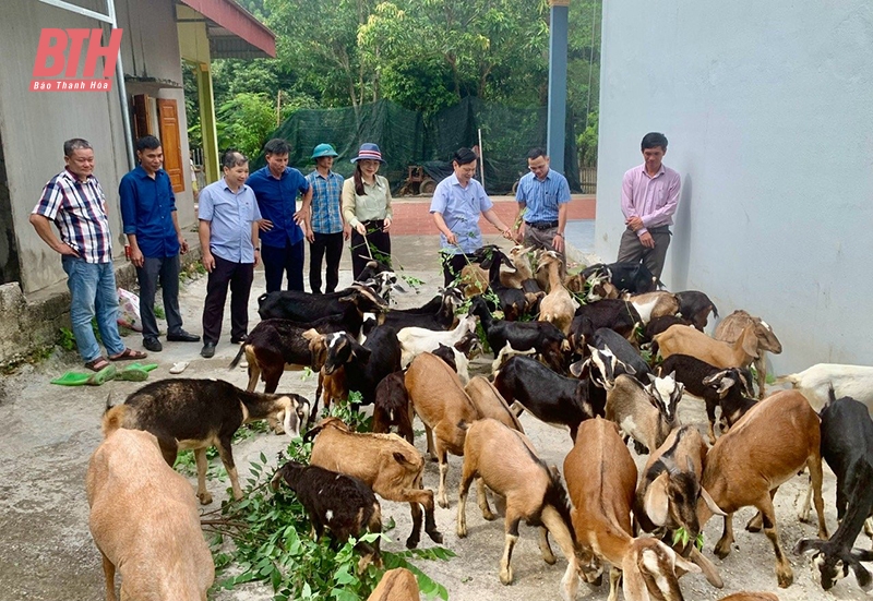 Nông dân Thanh Hóa đoàn kết giúp nhau làm giàu và giảm nghèo bền vững