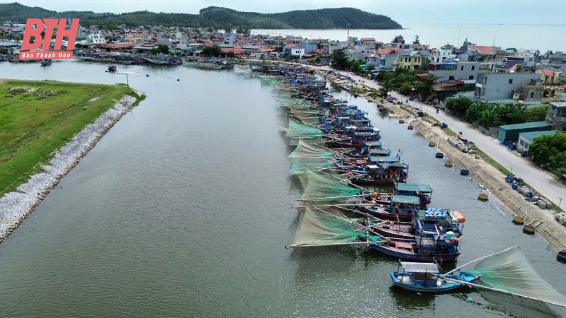 Hoàn thành tháo dỡ bè, mảng trái phép tại Khu neo đậu tránh trú bão cho tàu cá Lạch Bạng
