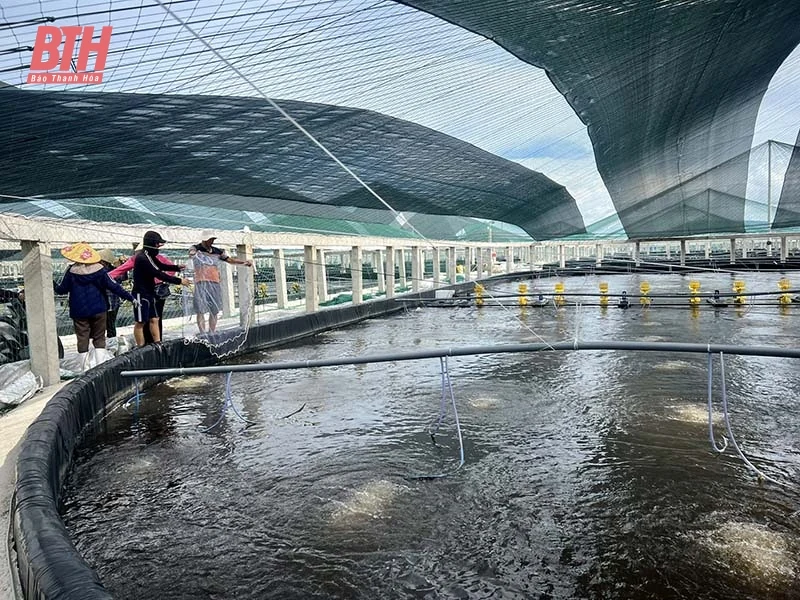 Khó khăn trong thực hiện chính sách khuyến khích khoa học và công nghệ