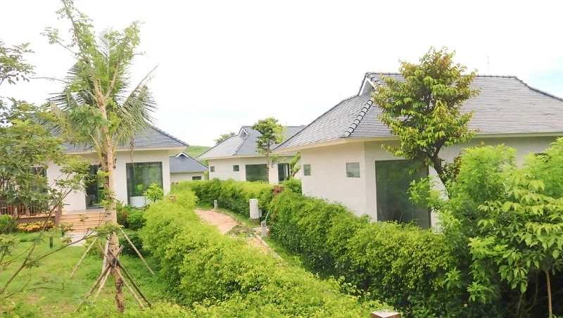 Vẻ đẹp LAMORI giữa núi rừng Lam nhà cái m88