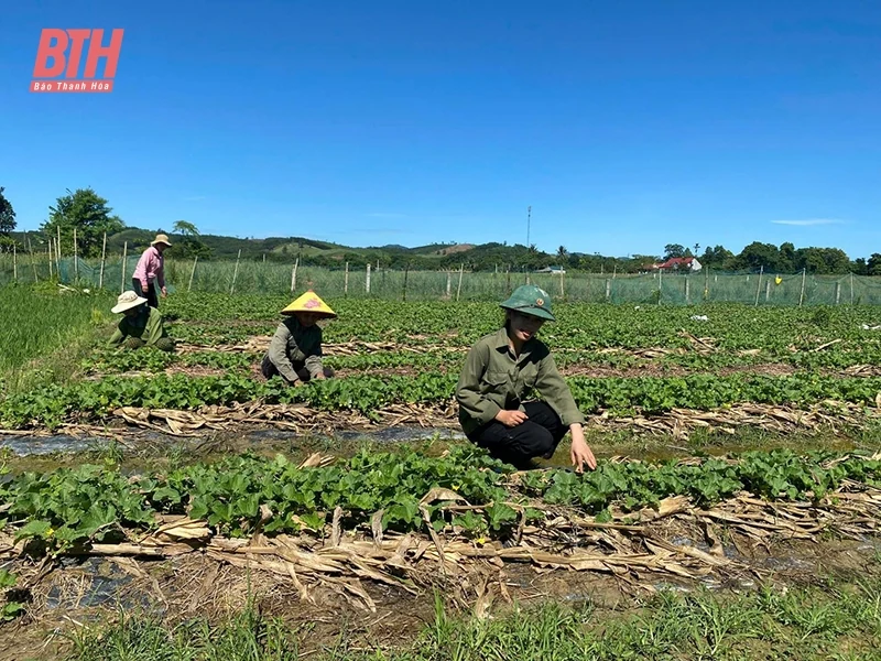 Thúc đẩy sản xuất nông m88 trang chủ an toàn