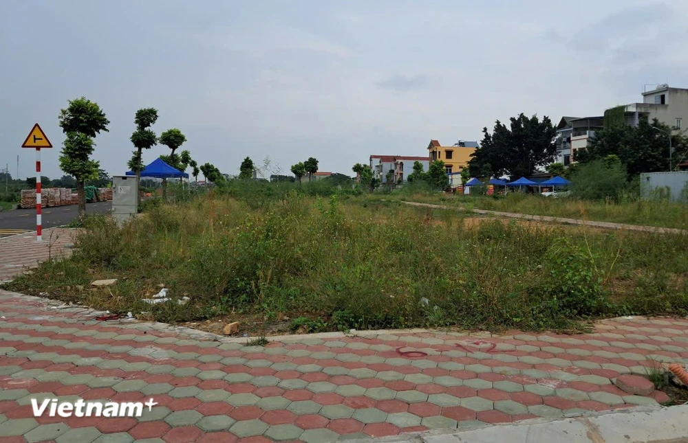 Thủ tướng Chính phủ chấn chỉnh công tác đấu giá quyền sử dụng đất