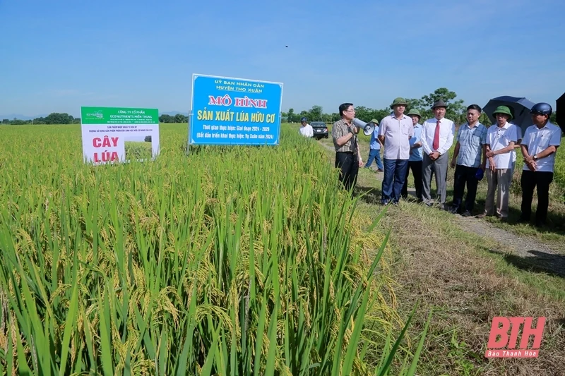 Sơ kết mô hình đăng ký m88 hữu cơ