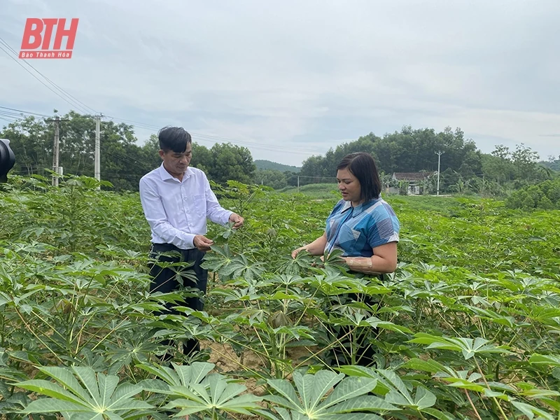 Nhiều khó khăn trong XDNTM ở khu vực miền núi