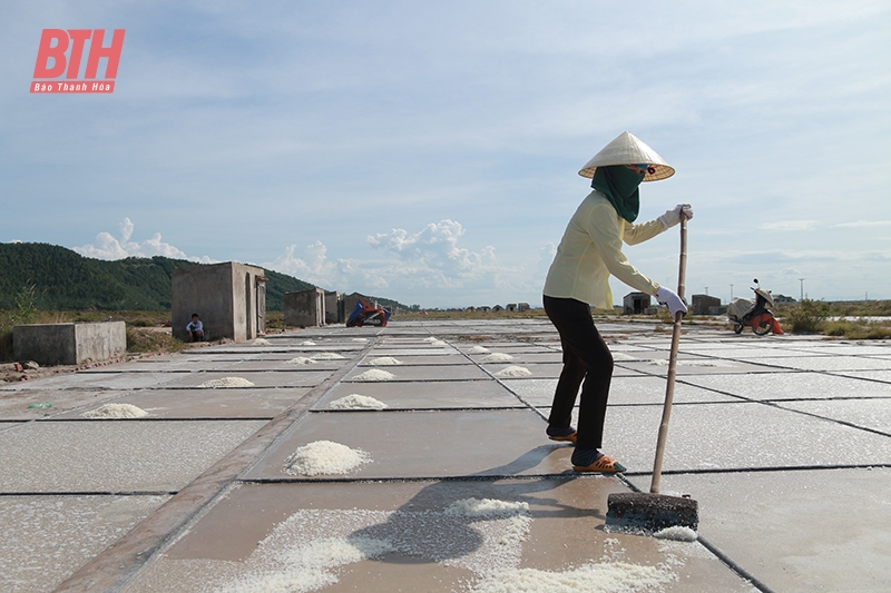 Lối đi nào cho hạt muối quê biển?