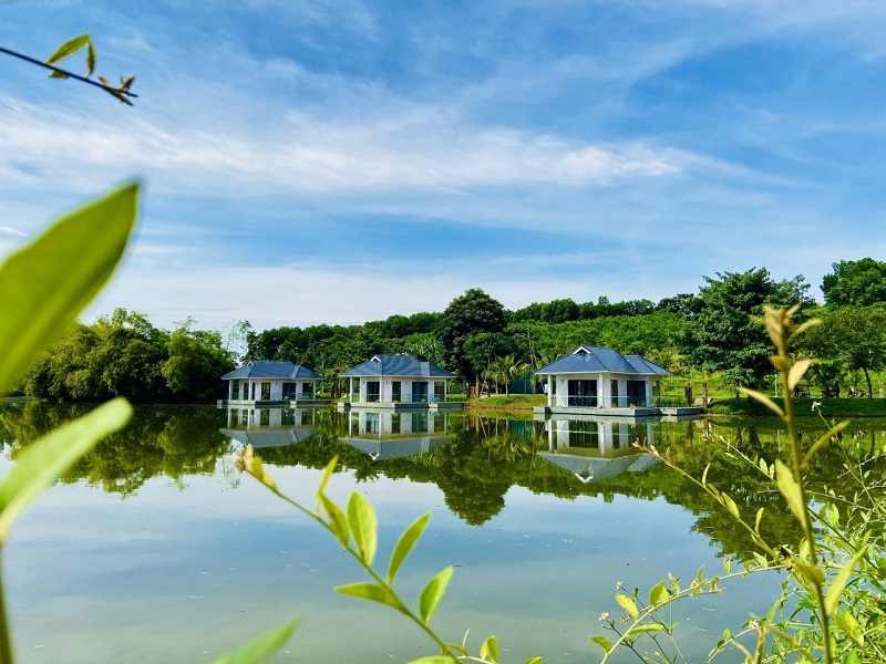 Bức tranh “thi vị” bên hồ cá cược bóng đá m88 Lê