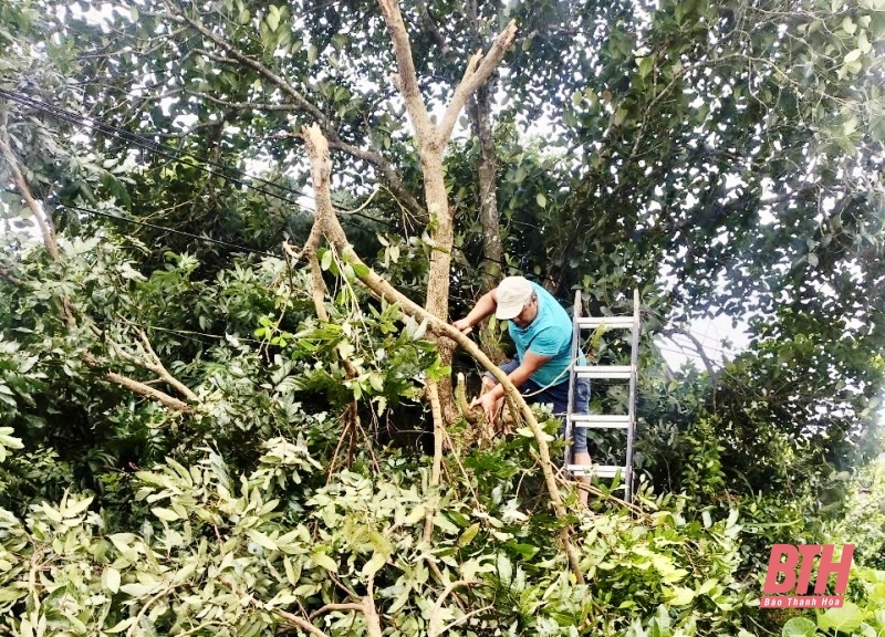 Toàn cảnh mưa lũ tại Thanh Hóa ngày 8/9