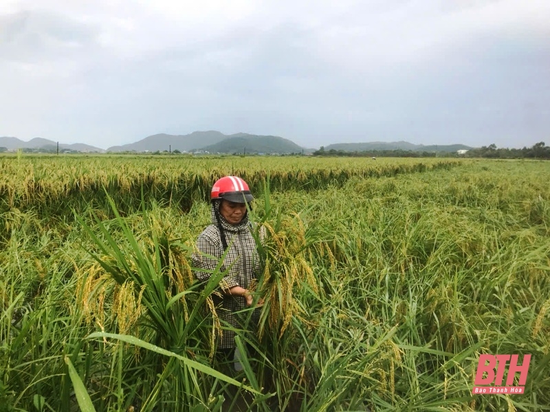 Toàn cảnh mưa lũ tại Thanh Hóa ngày 8/9