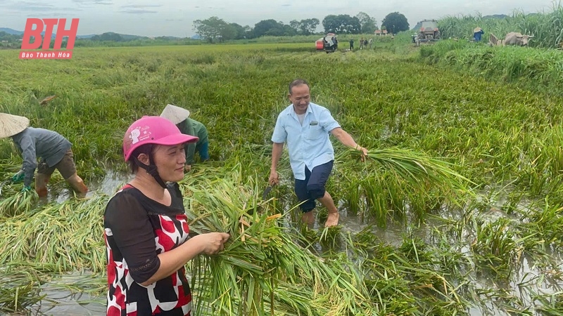 Toàn cảnh mưa lũ tại Thanh Hóa ngày 8/9