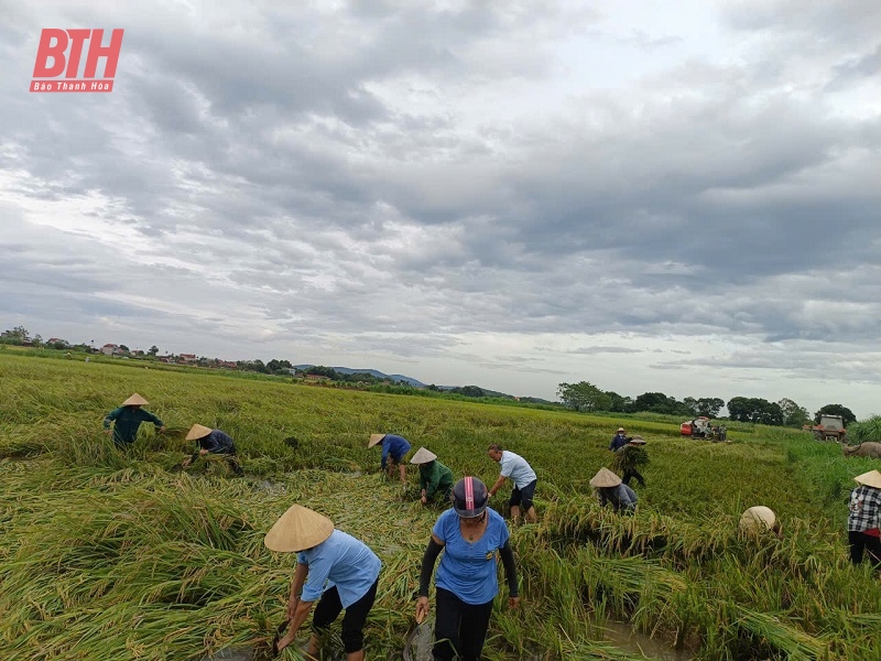 Toàn cảnh mưa lũ tại Thanh Hóa ngày 8/9