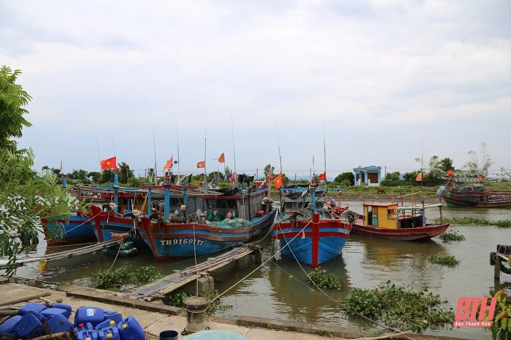 Phó Bí thư Thường trực Tỉnh ủy Lại Thế Nguyên kiểm tra công tác ứng phó với bão số 3 tại huyện Quảng Xương và thị xã Nghi Sơn